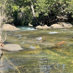 Meet your Posher, Alvina